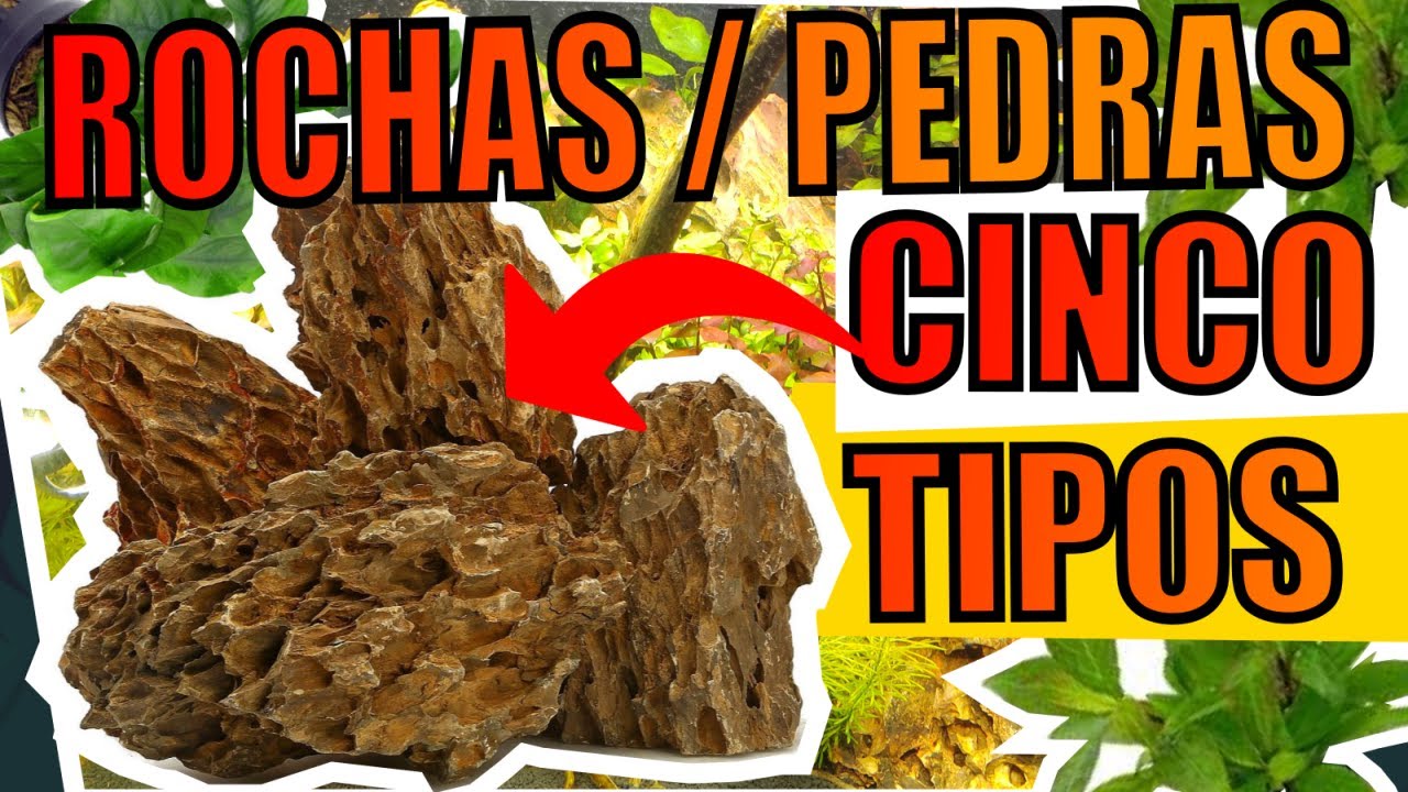 🔴TOP 5 ROCHAS PARA AQUÁRIOS |Mr. Betta|