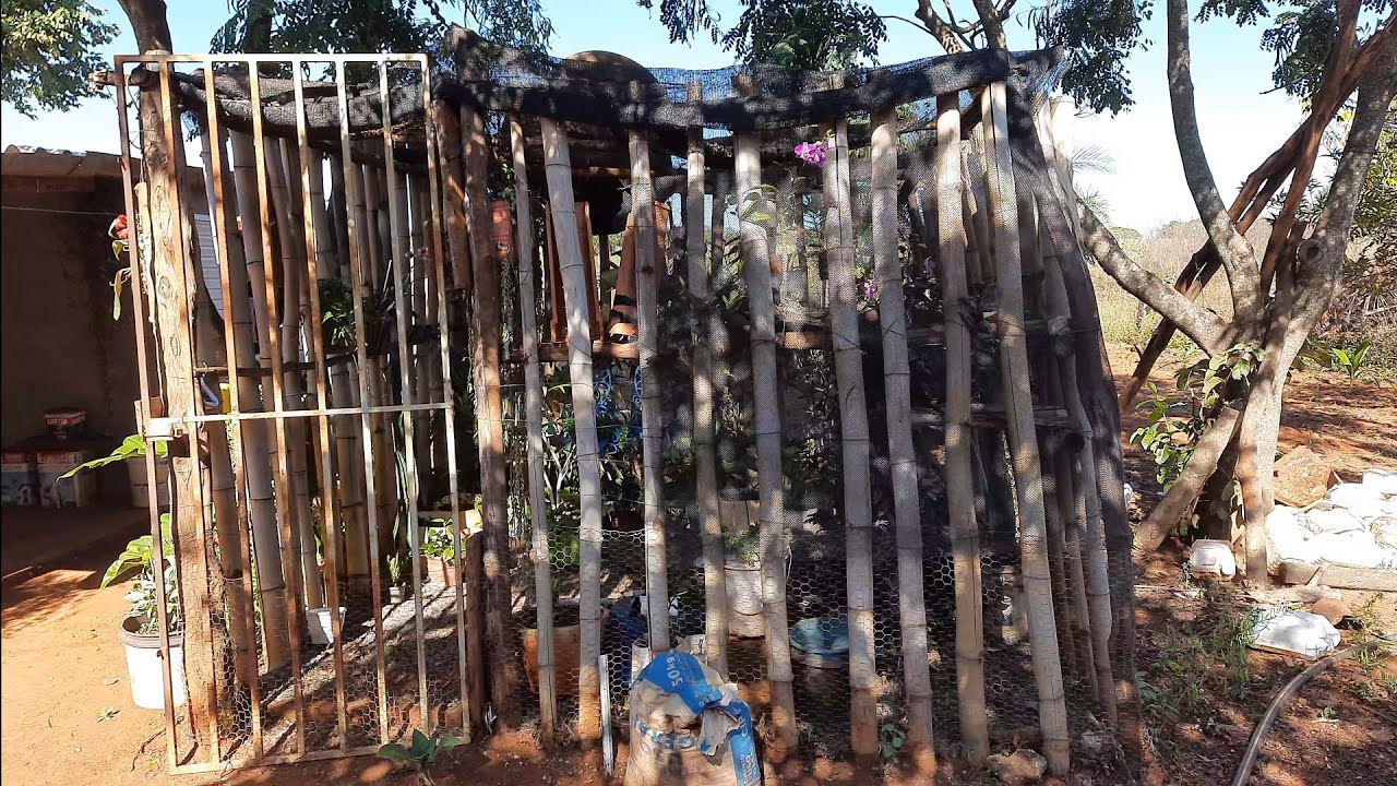 Orquidário simples e barato, feito com BAMBU 🥰🌸🌿 #orquideas #deus #amor #viral #youtubeshorts