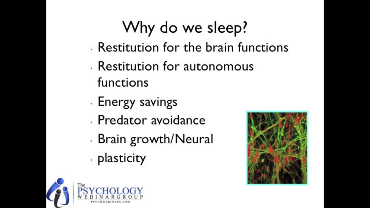 3 Sleep and ageing