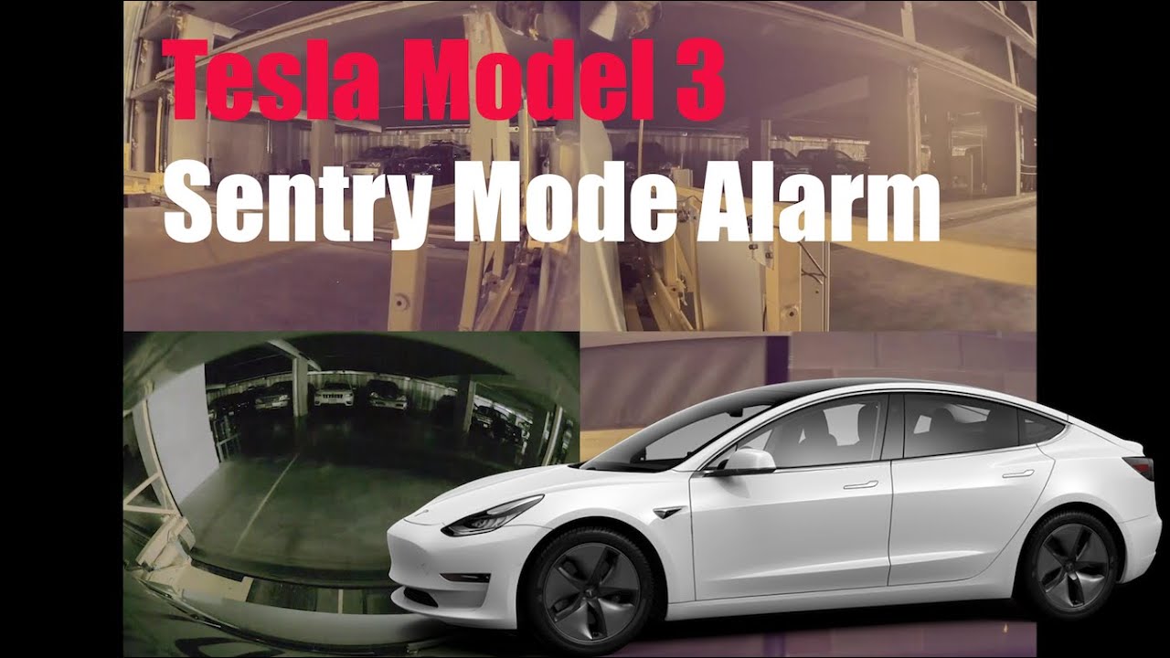 Tesla Model 3 Sentry Alarm Demo : Parking Garage Mishap