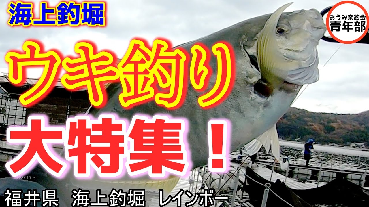 【釣り・海上釣堀】ウキ釣り、大特集！ウキのあたり、アワセのタイミング、超盛り沢山＃がまかつファクトリーモニター＃PR＃AKB
