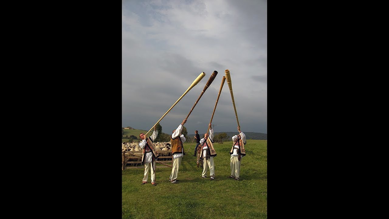 POTĘGA KARPAT  - WOŁOSI