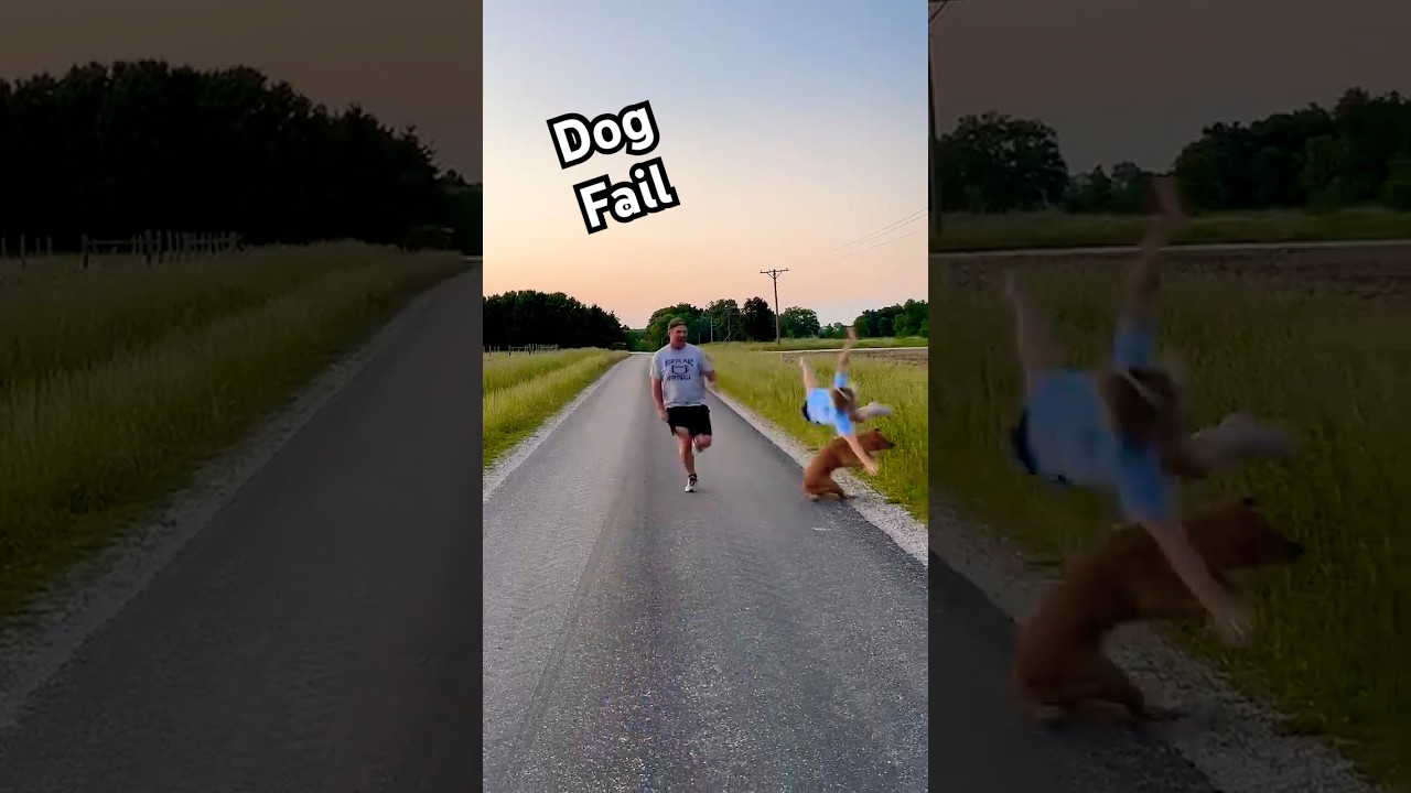 Dog Knocks Girl Over During Race With Dad