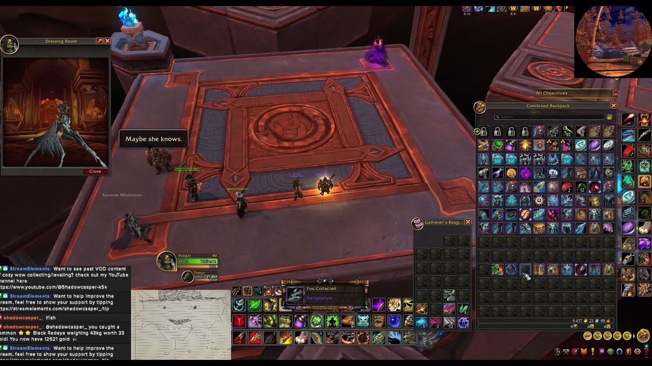 Cozy Wow stream part 13
