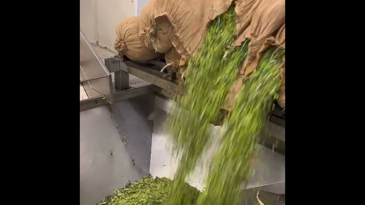 &Pi;&alpha;&rho;&alpha;&gamma;&omega;&gamma;&iota;&kappa;ή &delta;&iota;&alpha;&delta;&iota;&kappa;&alpha;&sigma;ί&alpha; - Avrilionis Olive Oil Mill