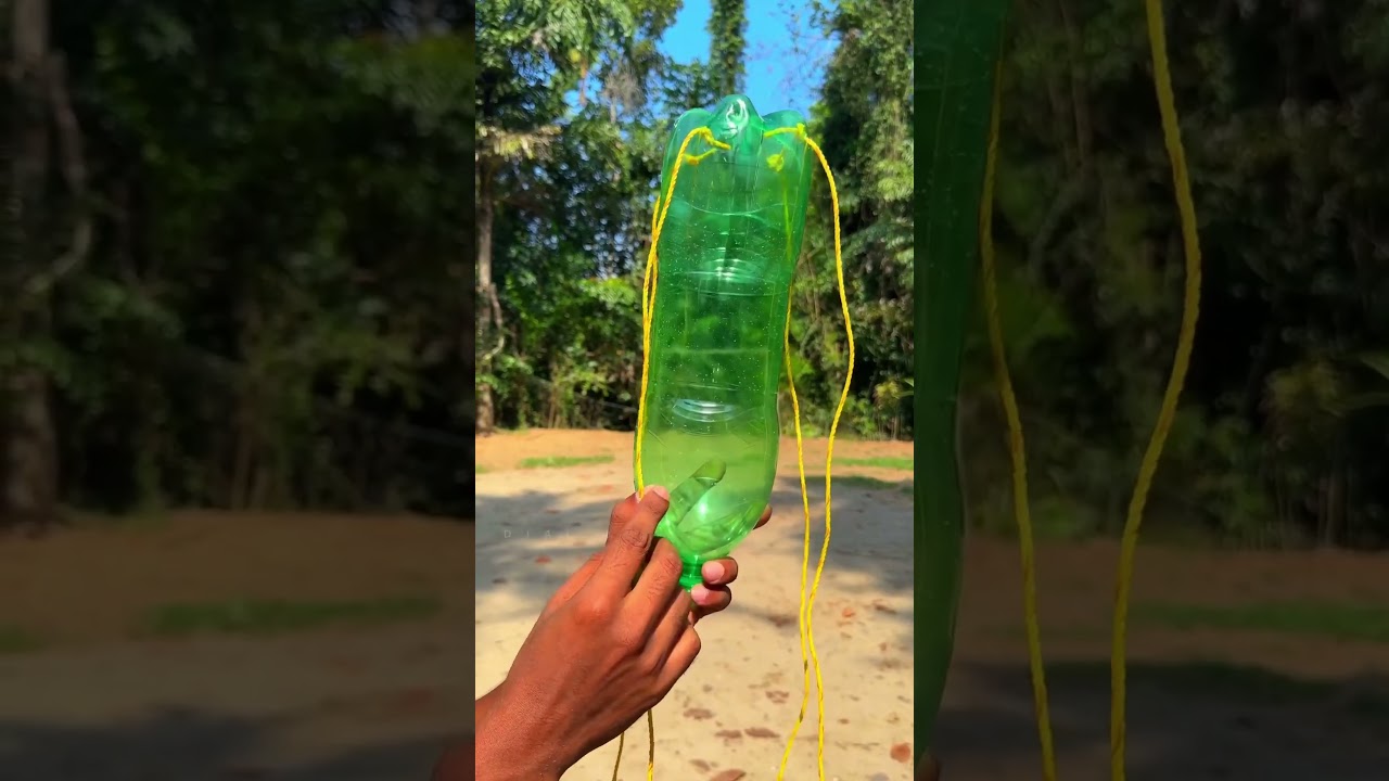 Harvesting Mangoes Bottle Technique to Pluck Or Harvest Mangoes #harvesting #mangoes #harvest #har