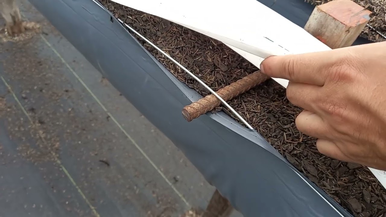 Como colocar plástica na Viticalha