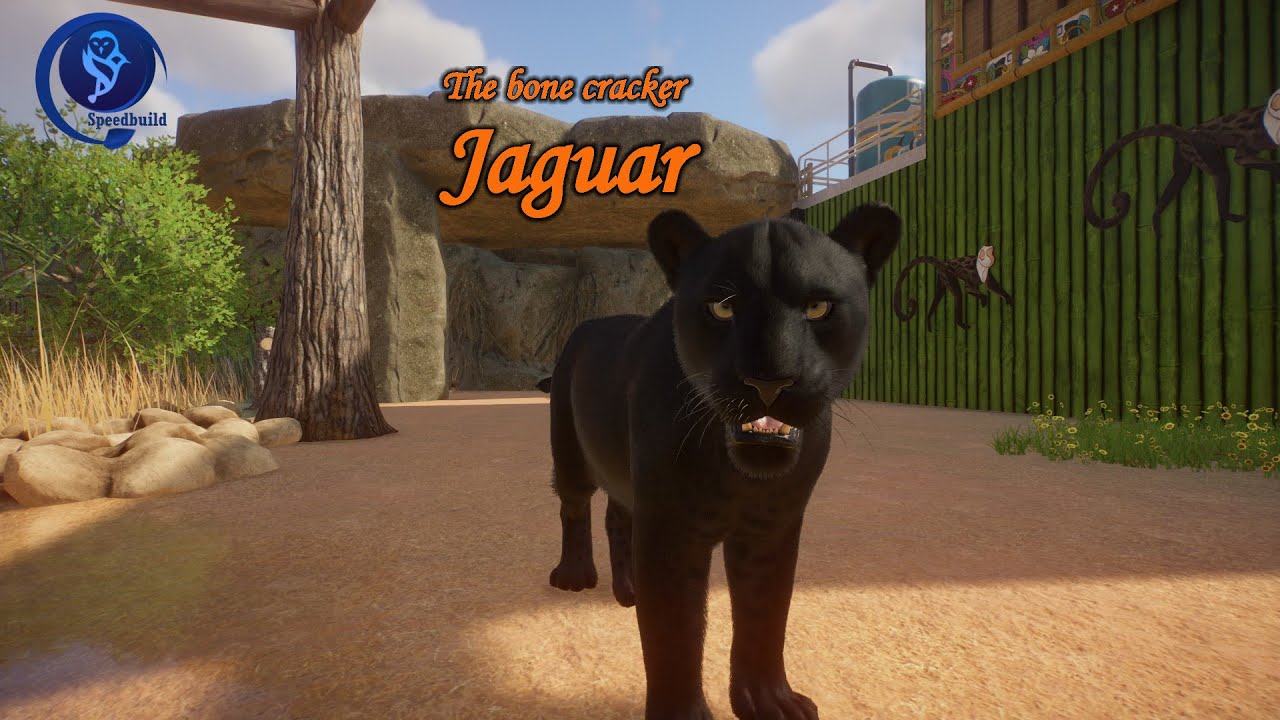 🌎Jaguar habitat | #20 Buenos Aires #planetzoo #speedbuild #jaguar