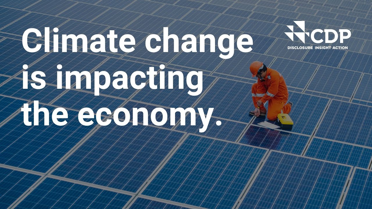 What is the economic fallout of climate change?
