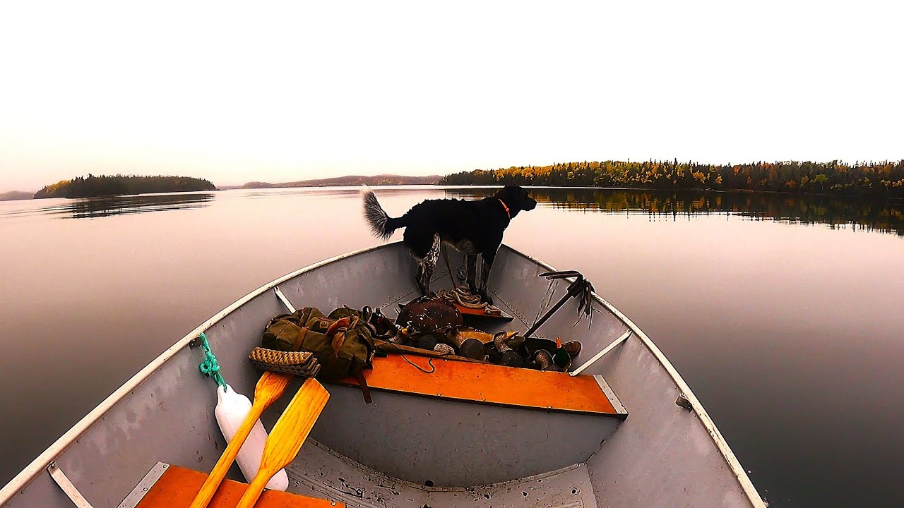 Fall Duck Hunting From My Newfoundland Cabin!