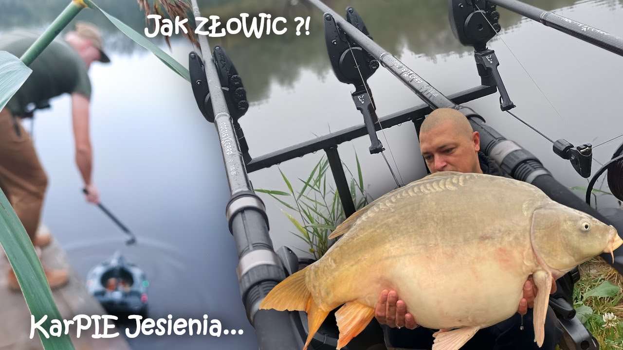 ZESTAW na KAŻDĄ wodę / JAK łowić, aby złowić / Karpiowanie w Wielkopolsce / Borowy Staw