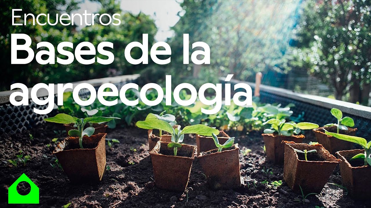 Bases agroecol&oacute;gicas: desaf&iacute;os y oportunidades (con Miguel A. Altieri)