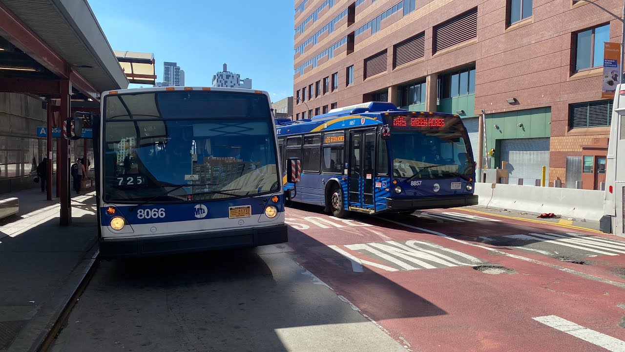 MTA Bus, NICE & NYCT || Bus Action on Jamaica & Archer Avenues
