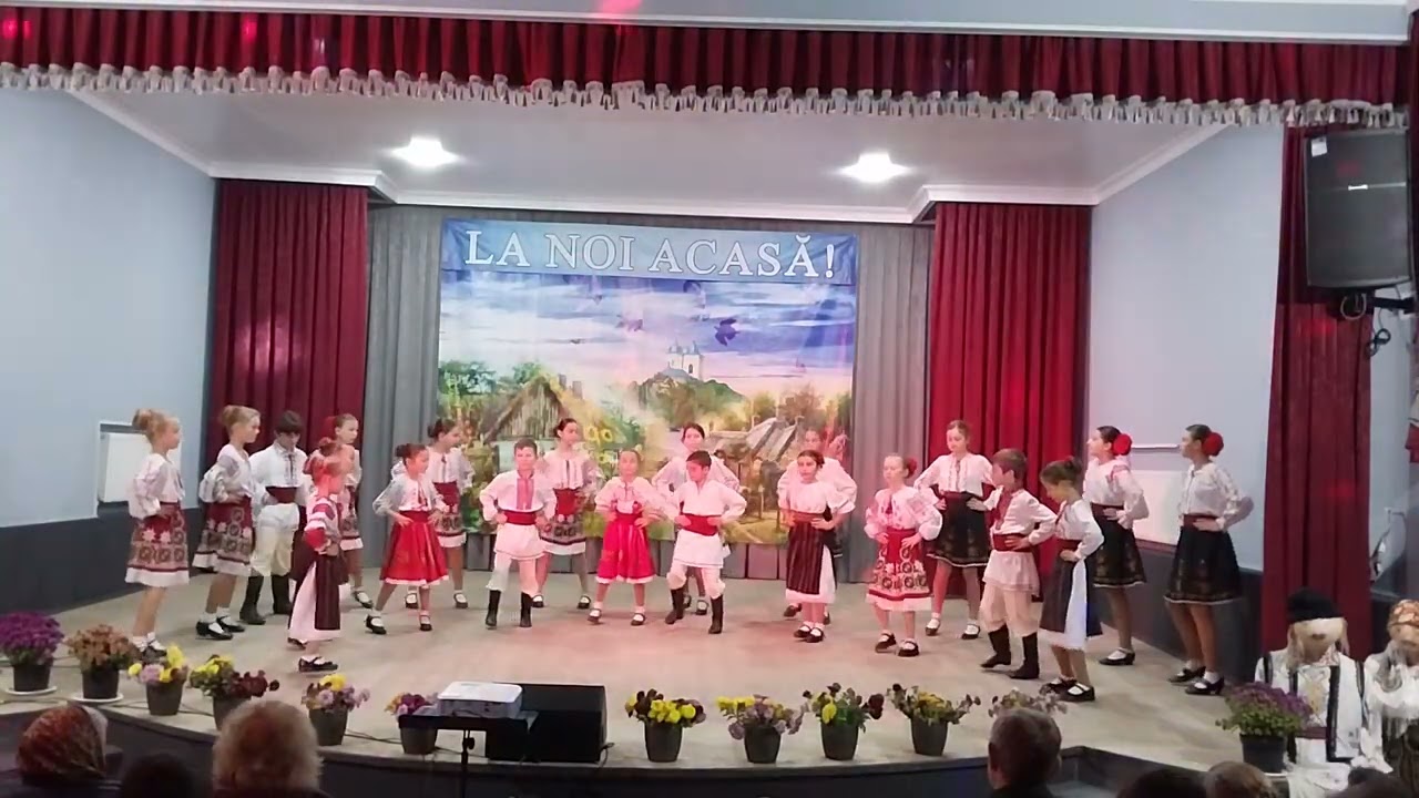 Ansamblul de dansuri ,,Faguri de miere