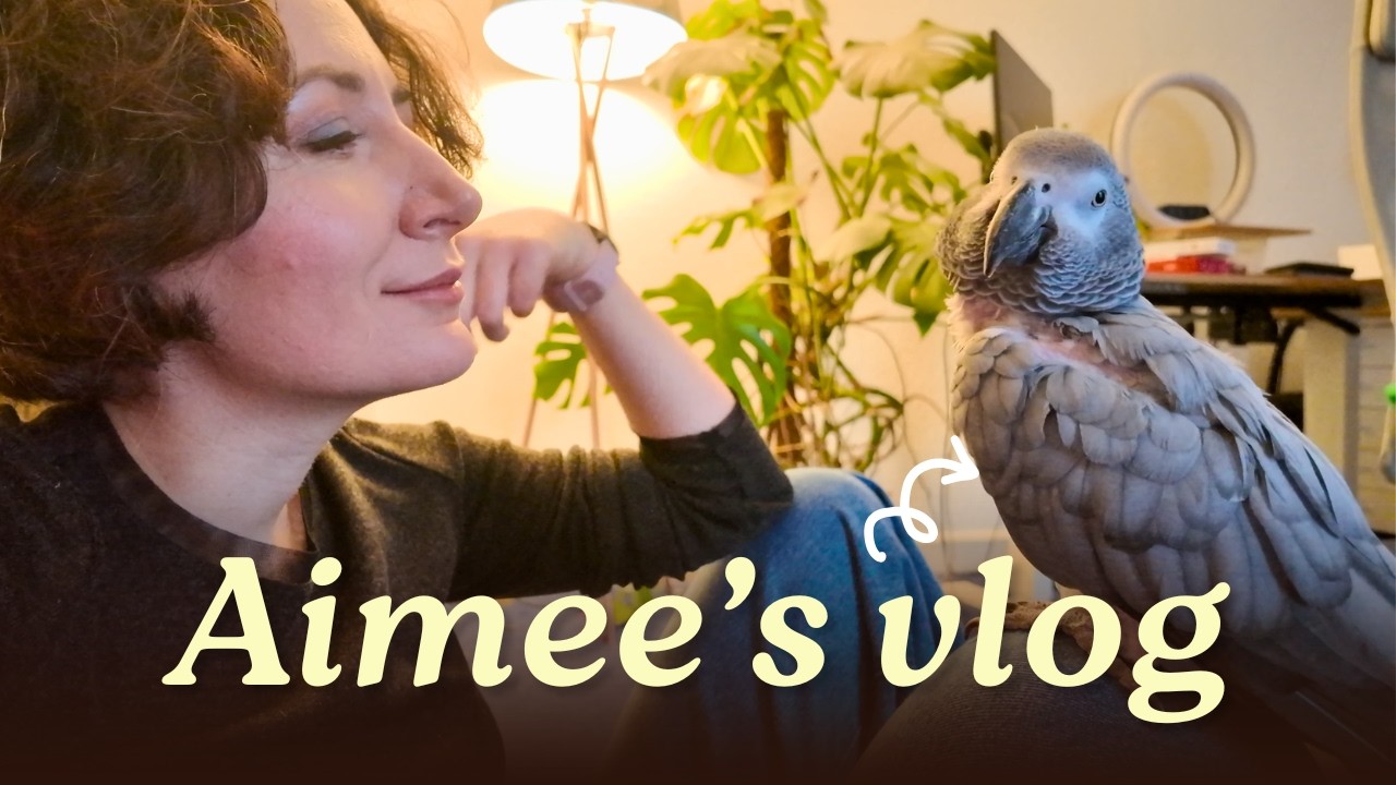 Aimee the African Grey Vlog | Morning Routine, Tasty Treats & a Bit of Mischief