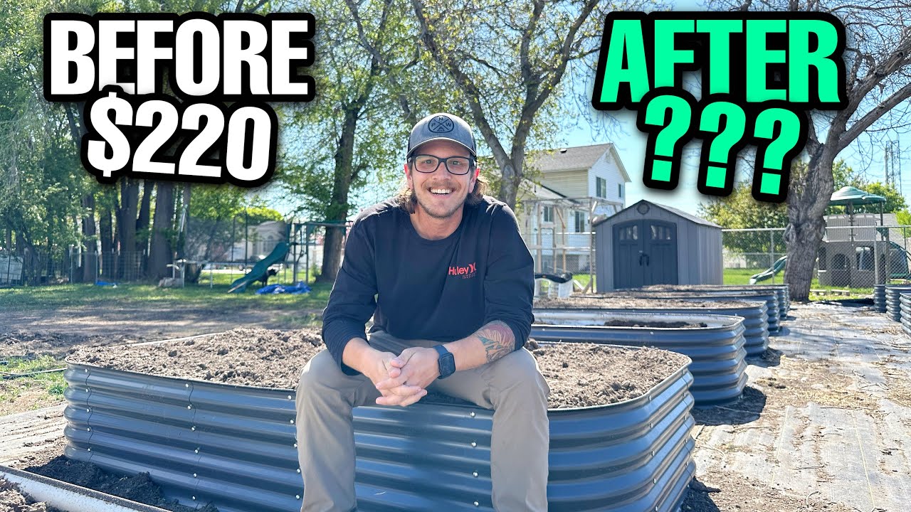 Fill Raised Beds For DIRT CHEAP! 2 MUST KNOW Tips To Spend LESS!