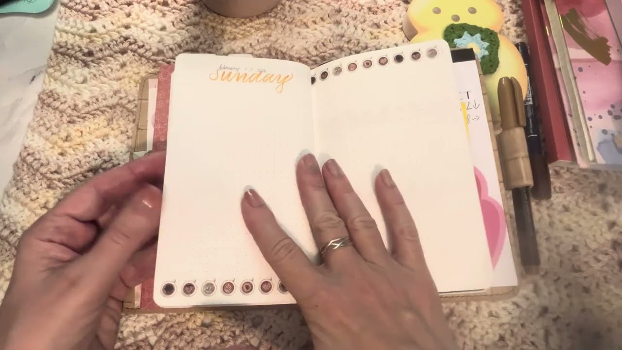Planner Perfect flips, Croc Edit, 6 Ring flip