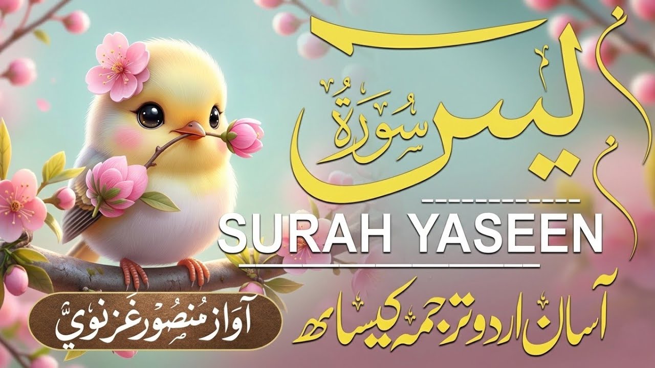 Surah Yasin ( yaseen ) With Urdu Translation |(سورة يس )🌿 Quran with Urdu and Hindi Tarjuma |Epi 001