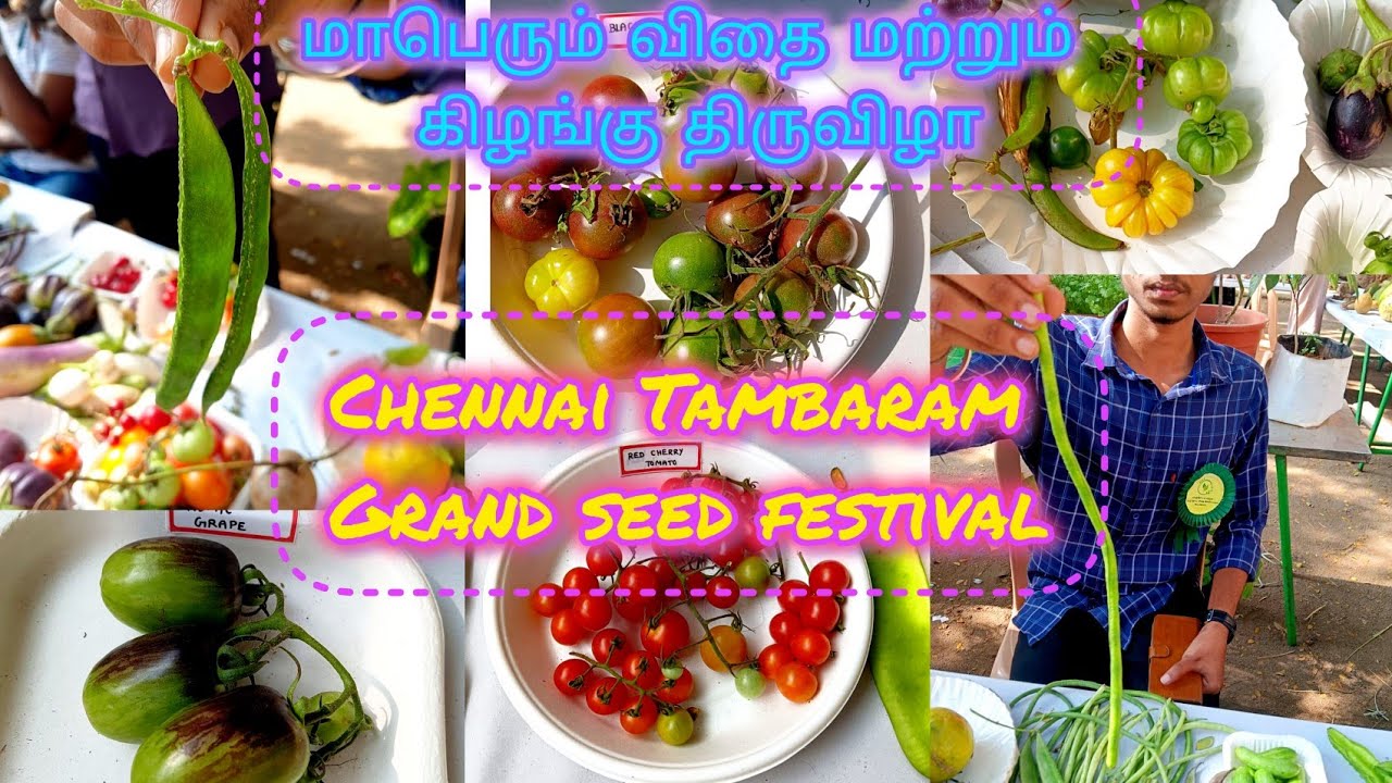 சென்னை தாம்பரத்தில் மாபெரும் காய்கறி விதை மற்றும் கிழங்கு திருவிழா 🍆🌶️/ Grand Seeds Festival / 