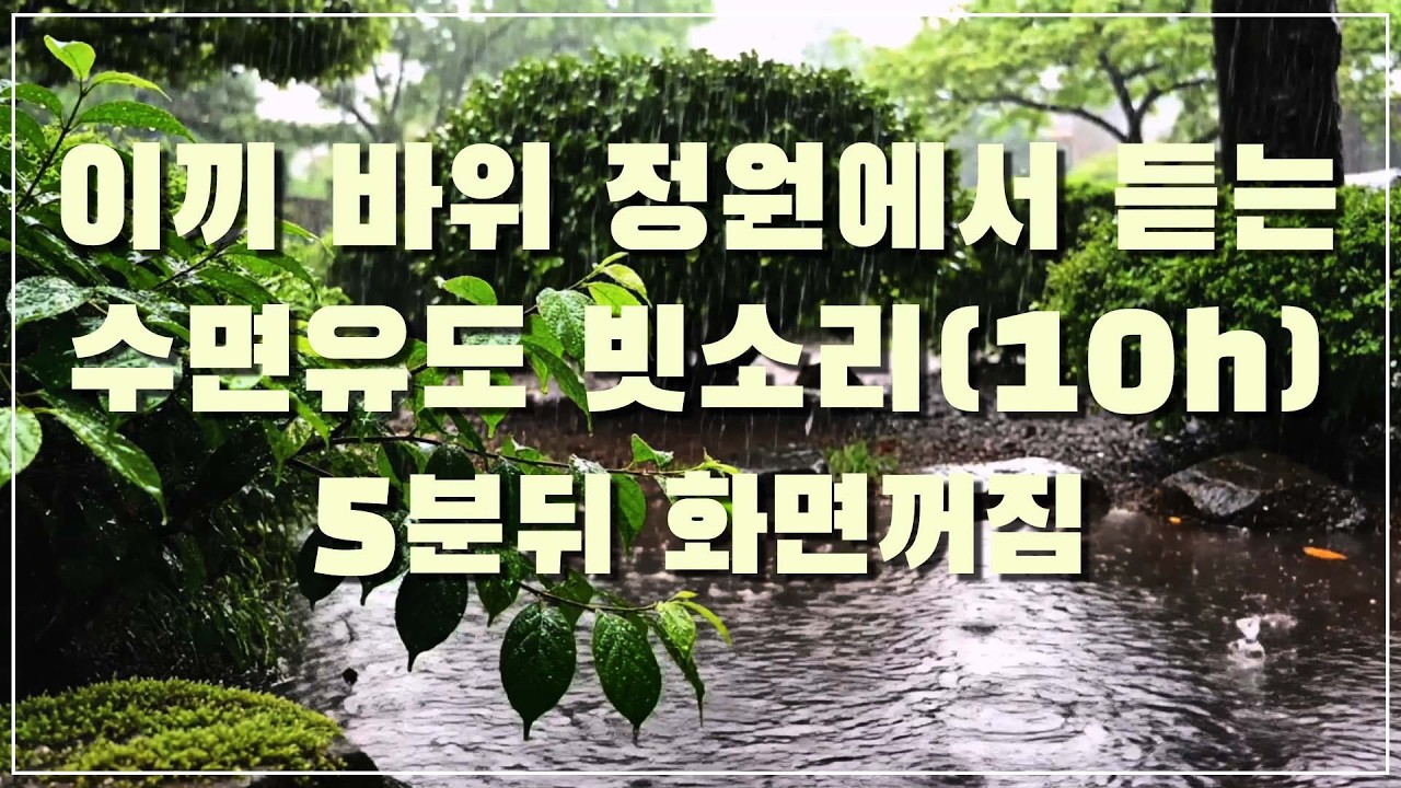 비 내리는 이끼 바위 정원에서 듣는 수면유도 빗소리, 5분 뒤 화면꺼짐 (10h)