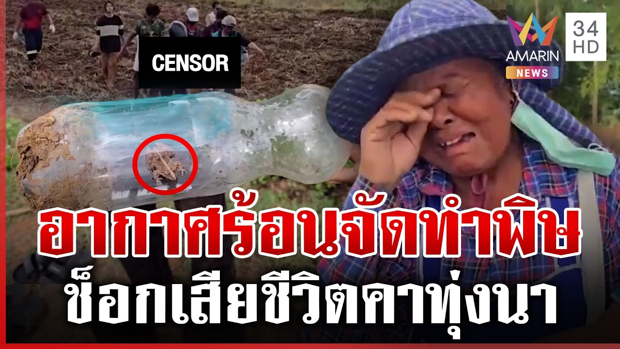 แดดร้อนทำพิษ! หนุ่มหาเขียดช็อกเสียชีวิตคาทุ่งนา แม่ร่ำไห้สูญเสียลูก | ทุบโต๊ะข่าว | 05/03/69