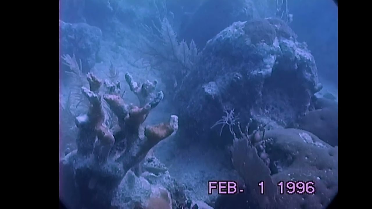 Sand Key buoy 11 February 1, 1996