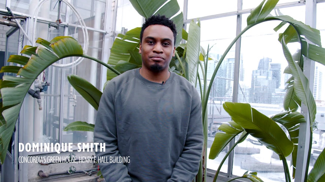 A Closer Look: Concordia Greenhouse!