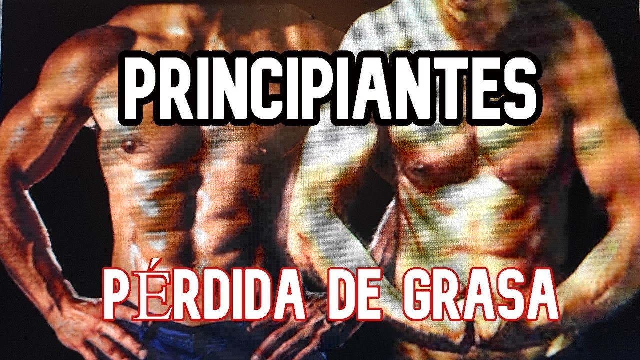 LOS NOVATOS LO TIENEN CHUPADO PARA PERDER GRASA