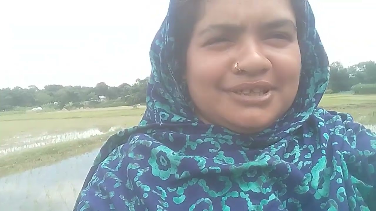 ক্ষেতে মূলা লাগানো হচ্ছে। 