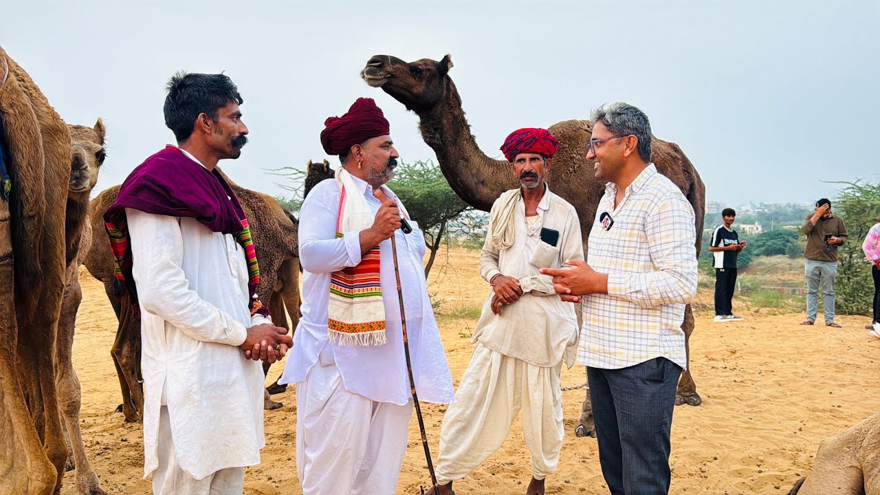 पुष्कर में आए अरबपति ऊँट पालक बताया ऊँट पालको के करोड़पति बनने का रास्ता 