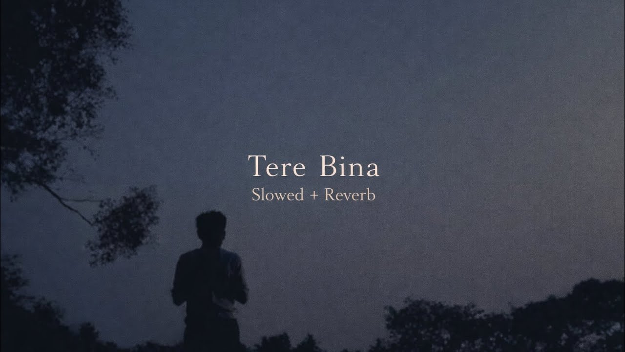 Tere Bina 🤍✨🌹 | Slowed + Reverb | Emotional Love Song💖