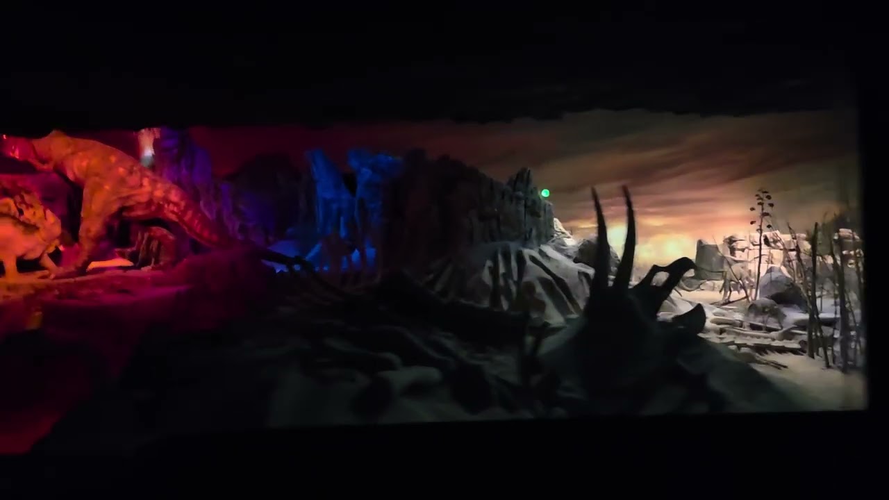 Disneyland Train Ride at Night