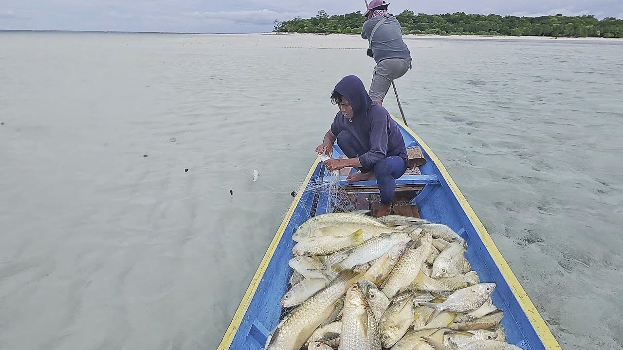 ikannya seakan tidak ada habisnya menjaring ikan di pulau penyu siang dan malam