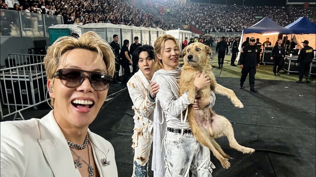 Jimin ⟭BTS⟬ Новые собаки? 😭 Кто выпустил собаку? Кто? 🎶 Лима 🇵🇪