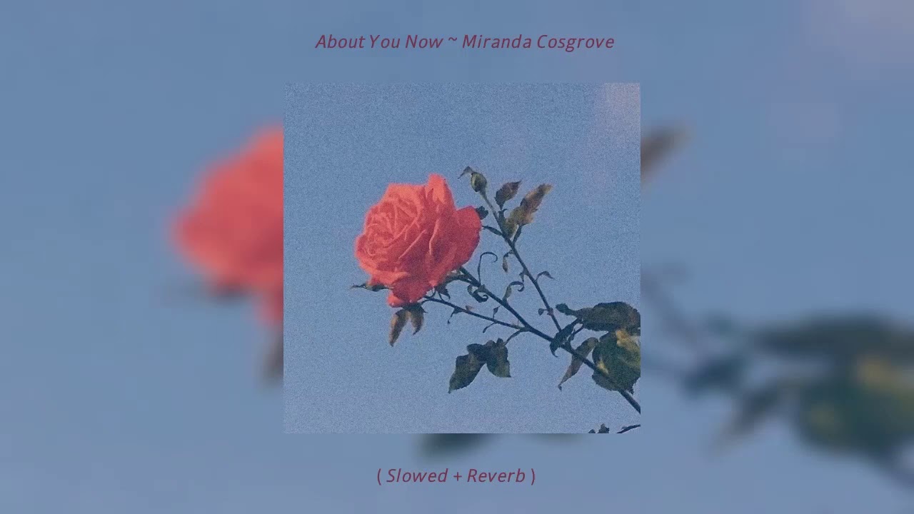 About You Now ~ Miranda Cosgrove ( Slowed + Reverb )