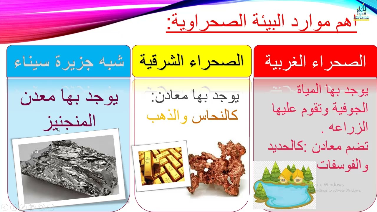 البيئات المصرية