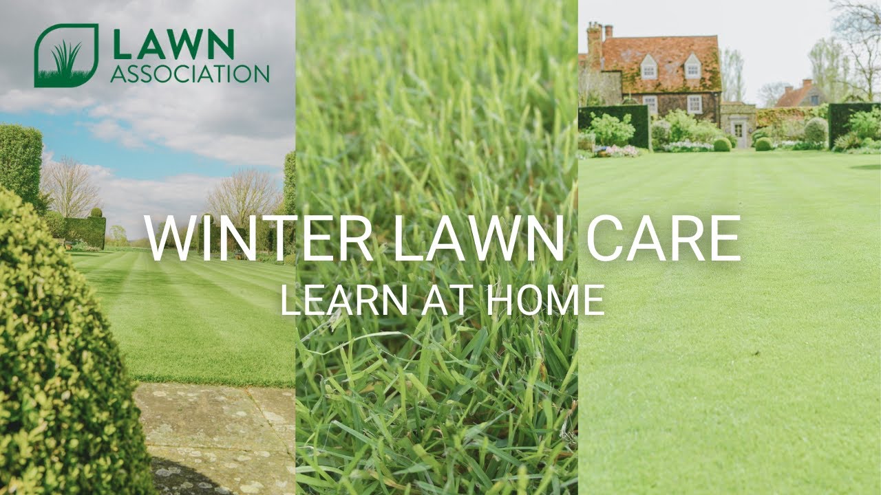 WINTER LAWN CARE | MOWING, MOSS, AERATION | Lawn Association