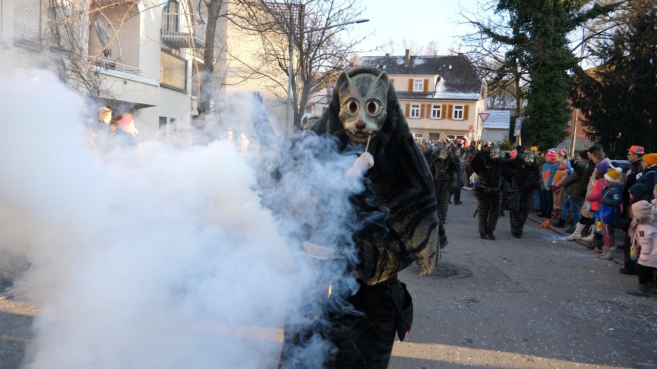 Fasnet, Umzug in Pfullingen Teil2, Überregionaler Narrenumzug
