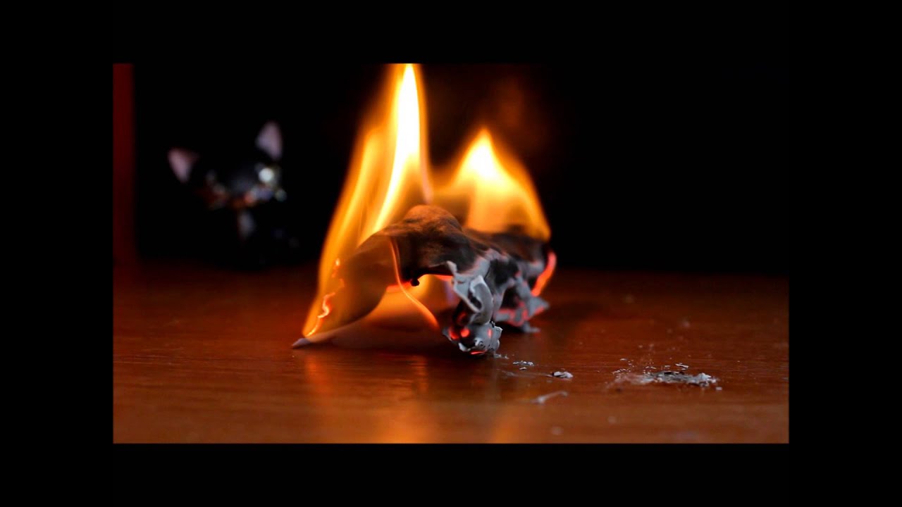 ня пока; music video:как я умру : lps sweet pet