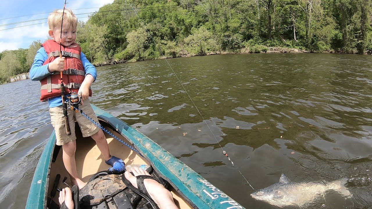 Catfishing from a kayak - Fishing for spring blue catfish with Nathan.