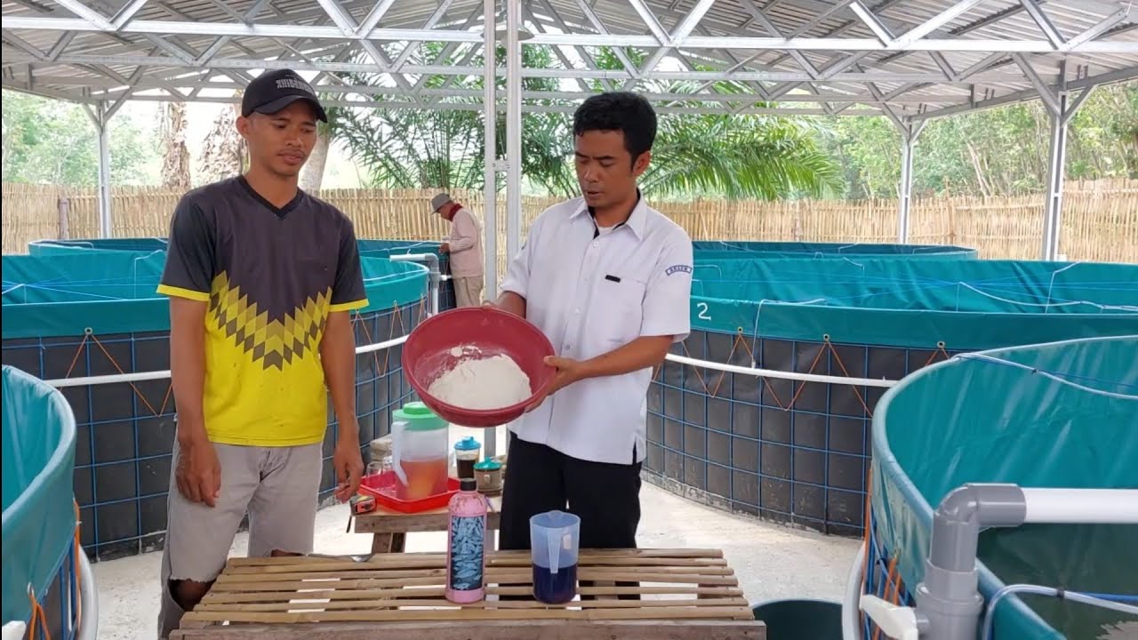 Seri 7 : Penyiapan Media Bioflok
