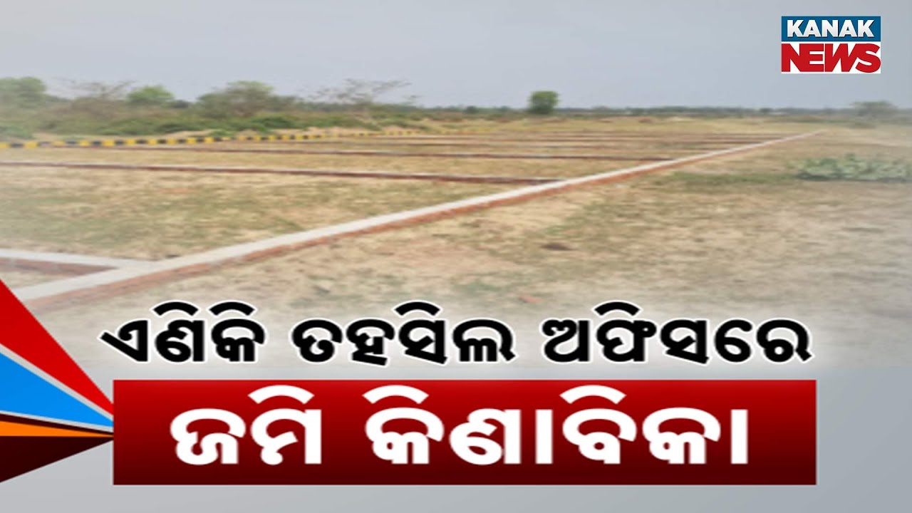 Land Registration Begins at Tehsil Offices | 44 Tehsils Get New Facility | Odisha Govt Update