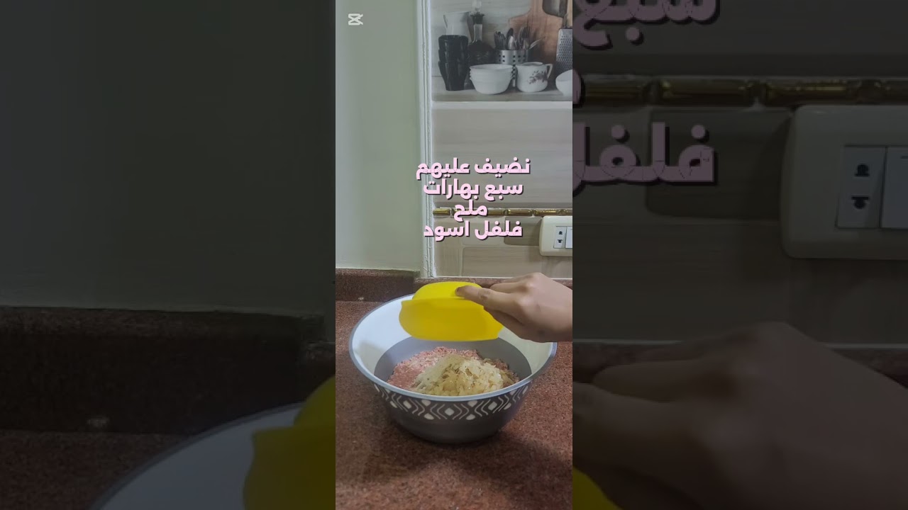 #الحواوشى #بالطريقه #المظبوطه 