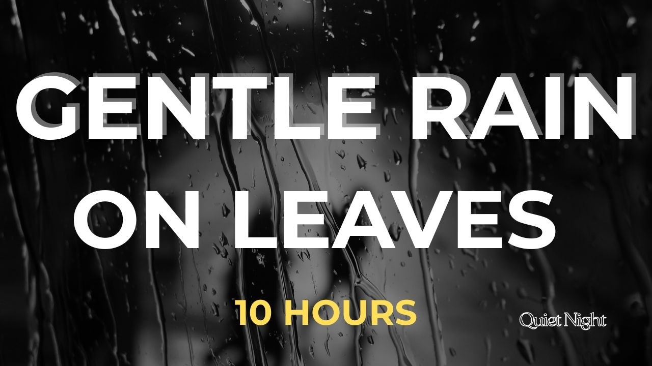 Rain on Leaves Ambience – 10 Hours – Black Screen – Sleep & Relax