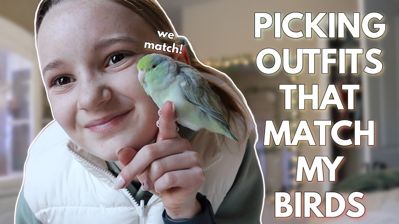 Picking Outfits that Match My Birds