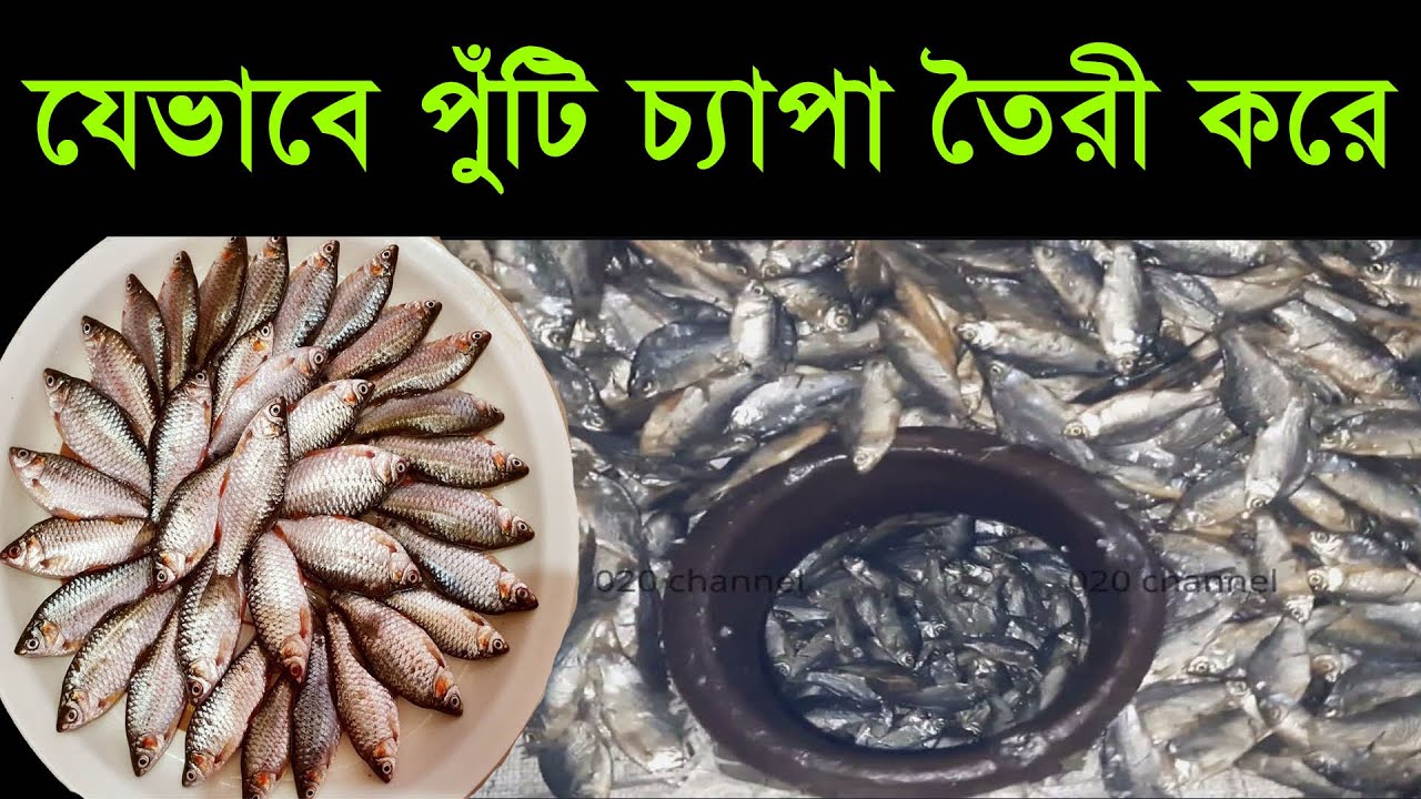 পুঁটি চ্যাপা কিশোরগঞ্জে মধ্য রাতে তৈরী করার কারণ।। Chepa Shutki