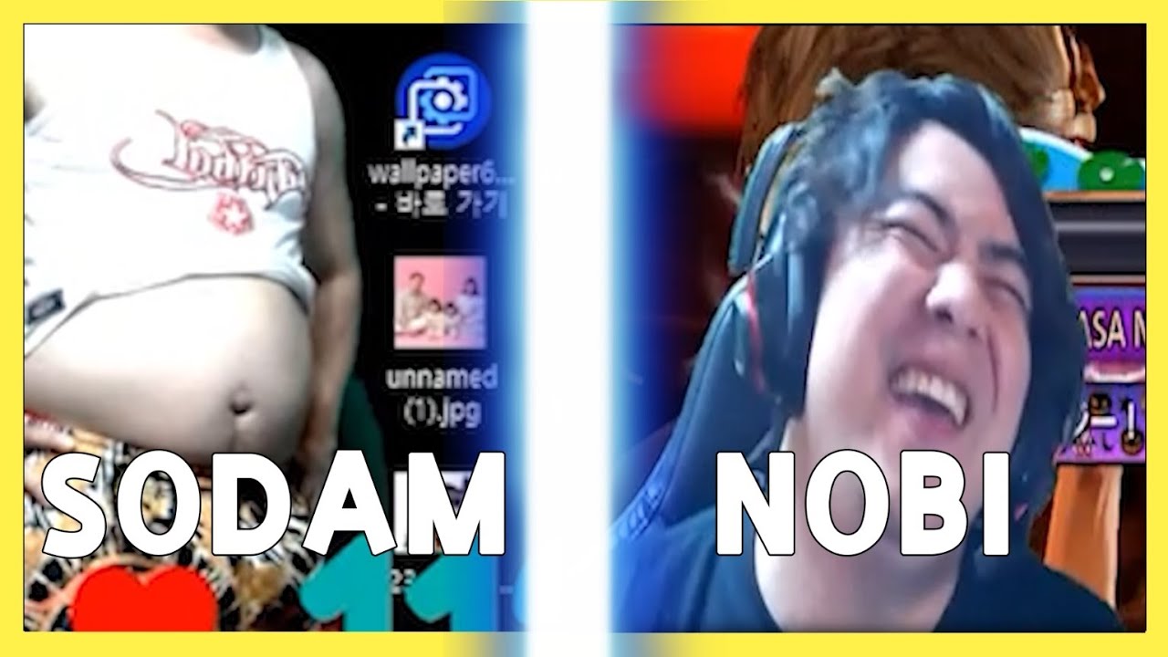 [노담전] 꿀잼보장!!! 소담 vs 노비 (sodam vs nobi edited ver) 편집본 노비 얼굴 합성편집 허락받음