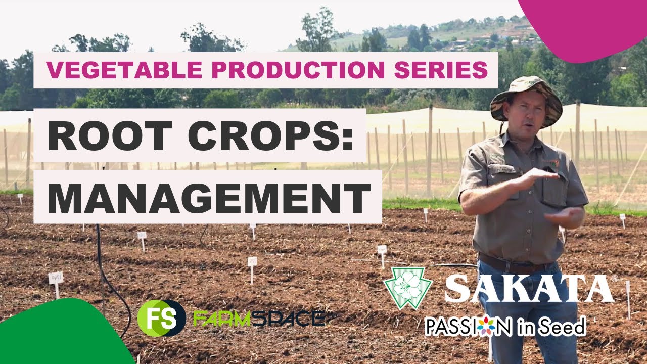 #15  Root Crops: Management
