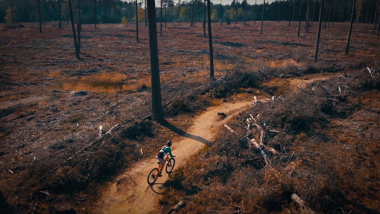Swinley Forest Blue Trail by Drone
