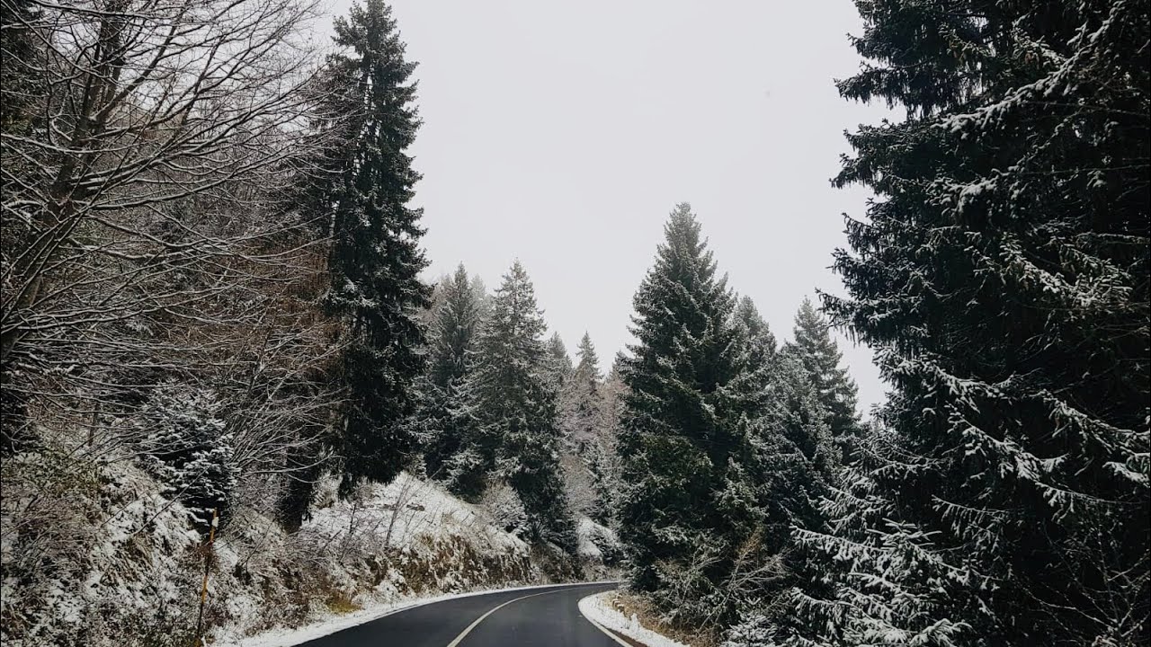 Bosco Chiesanuova com neve